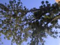 WP_20160806_18_10_30_Pro.jpg